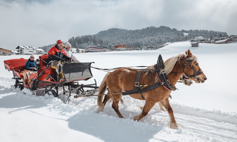carriage ride through the snow